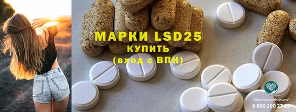 Альфа ПВП Аркадак
