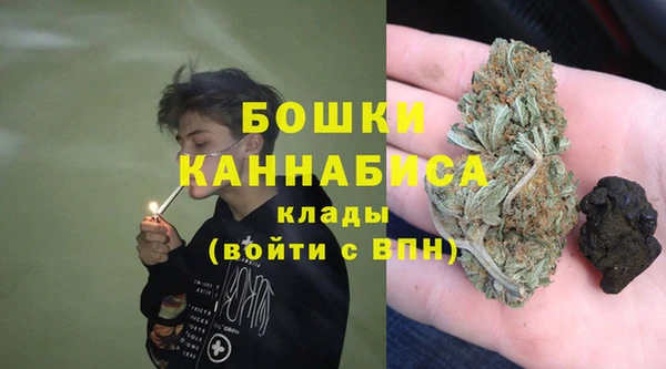 Альфа ПВП Аркадак